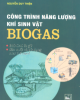 Ebook Công trình năng lượng khí sinh vật BIOGAS: Phần 1 - Nguyễn Duy Thiện