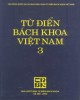 Ebook Từ điển bách khoa Việt Nam (Tập 3): Phần 1