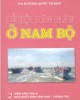 Ebook Lễ hội dân gian của người Việt ở Nam Bộ: Phần 1