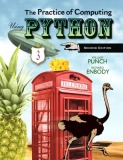 The practice of computing using python (2edition) - Part 1